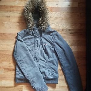 Hollister - Winter Jacket